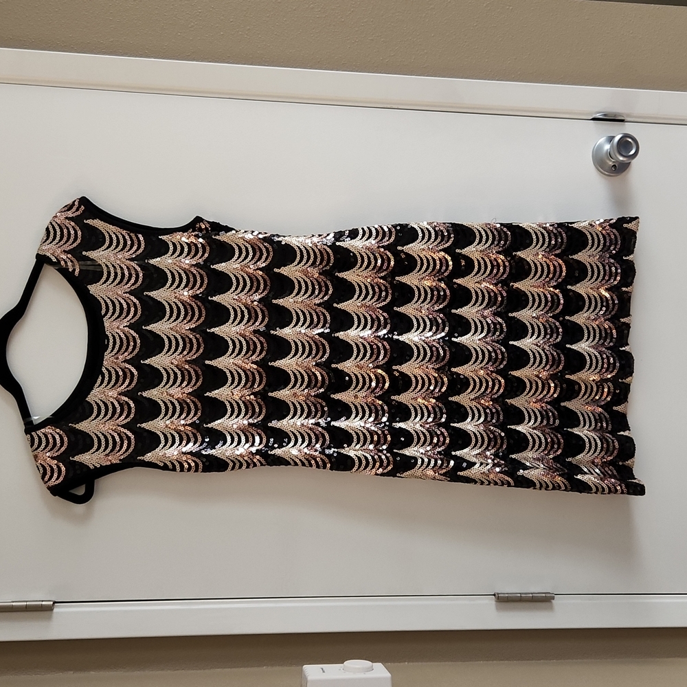 NWOT sequin dress (for wedding guest or party)  Great Gatsby 1920s dress